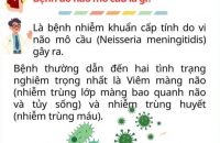 CHỦ ĐỘNG PHÒNG BỆNH NÃO MÔ CẦU – BẢO VỆ SỨC KHỎE CỘNG ĐỒNG