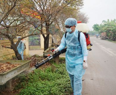 Phòng chống dịch, bệnh